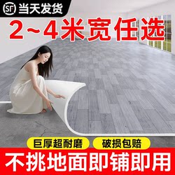 Carpet for Living Room and Bedroom, Thickened Wear-Resistant Waterproof Non-Slip Floor Mat, Large Area Full Coverage
