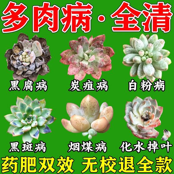 
Special fat for succulents, special bactericidal for black spot diseases, powdery mildew, bituminous coal black rot disease nutrient solution, eutrophicin insecticide