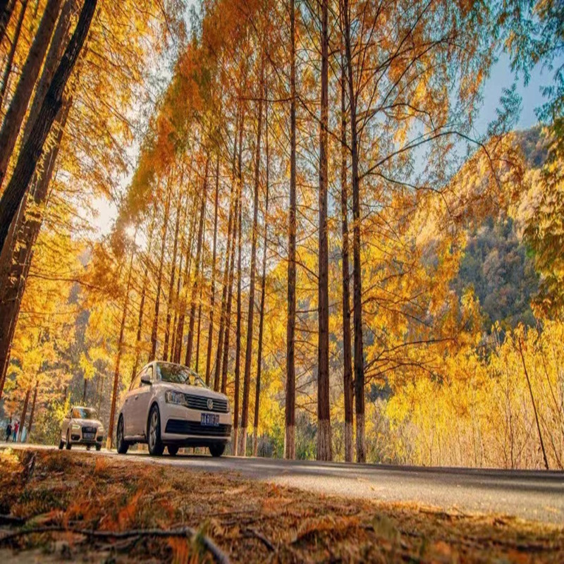 西安巴中汉中米仓山光雾山十八月潭黎坪留坝十八月潭包车游 汉中