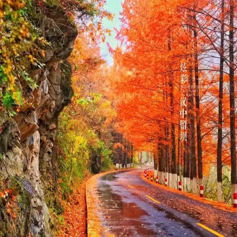 西安巴中汉中米仓山光雾山十八月潭黎坪留坝十八月潭包车游 汉中