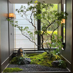 Artificial Greenery, Horse-Dranker Tree, Fake Tree Decoration for Hall and Window Display, Artificial Plant Landscaping, Large Ornaments, Landscape Decoration, Fake Tree