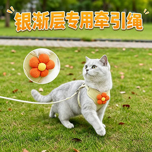 
Silver gradient layer special kitten traction rope cat pet kitten anti-break-away harness strap cat rope harness