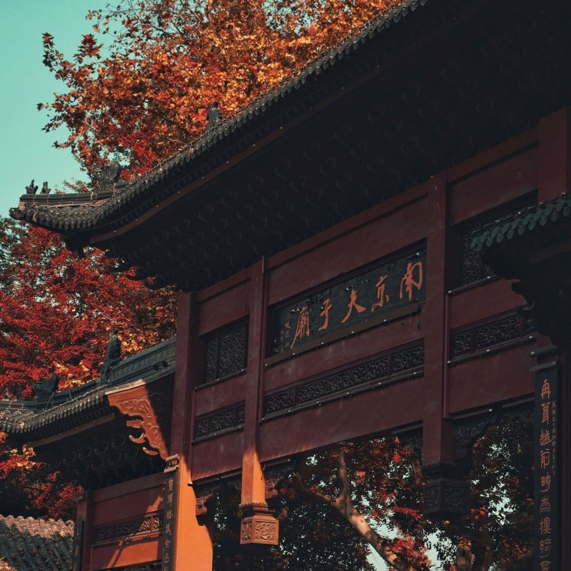 南京一日游+牛首山+总统府+大报恩寺+夫子庙跟团游门票全含含大巴