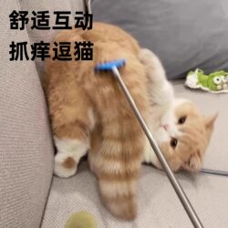 Cat Teaser Wand Toy, Cat Massage, Interactive Boredom Relief, Scratching, Tickling, Cat Grooming Tool, Retractable Comb, Hair Brush