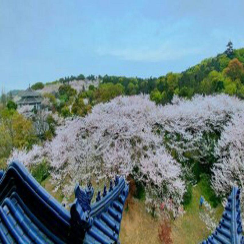 【杜马优选】无锡太湖6天5晚自由行