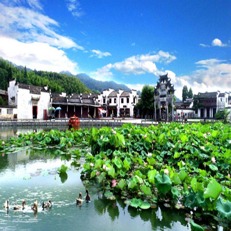 纯玩屯溪老街+黄山观日出+千岛湖+西递宏村+九华山7天6晚跟团游