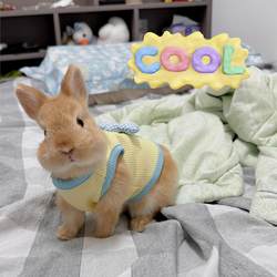 Rabbit Clothing Pet Clothing for Dwarf Rabbits, Anti-Shedding, Anti-Escape, Anti-Dirt, Breathable Vest, Pet Apparel