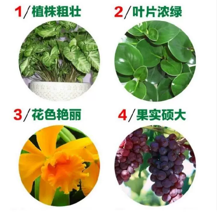花肥土盆栽通用植物肥料家w庭型花草種菜有機肥橙子樹番茄瓜 Taobao
