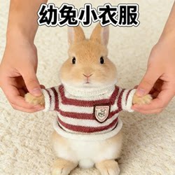 Cute Sweater for Baby Rabbits, Autumn and Winter Warm Outdoor Outfit, Pet Clothing, Anti-Shedding, Extra Small Size