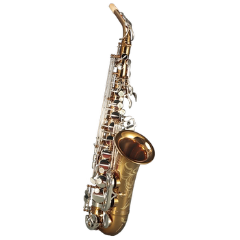 France Rollins 9902s Saxophone Antioxidant