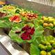 Simulated banana leaf barbecue fruit bottom placing decoration leaves sushi restaurant decoration banana leaf decoration