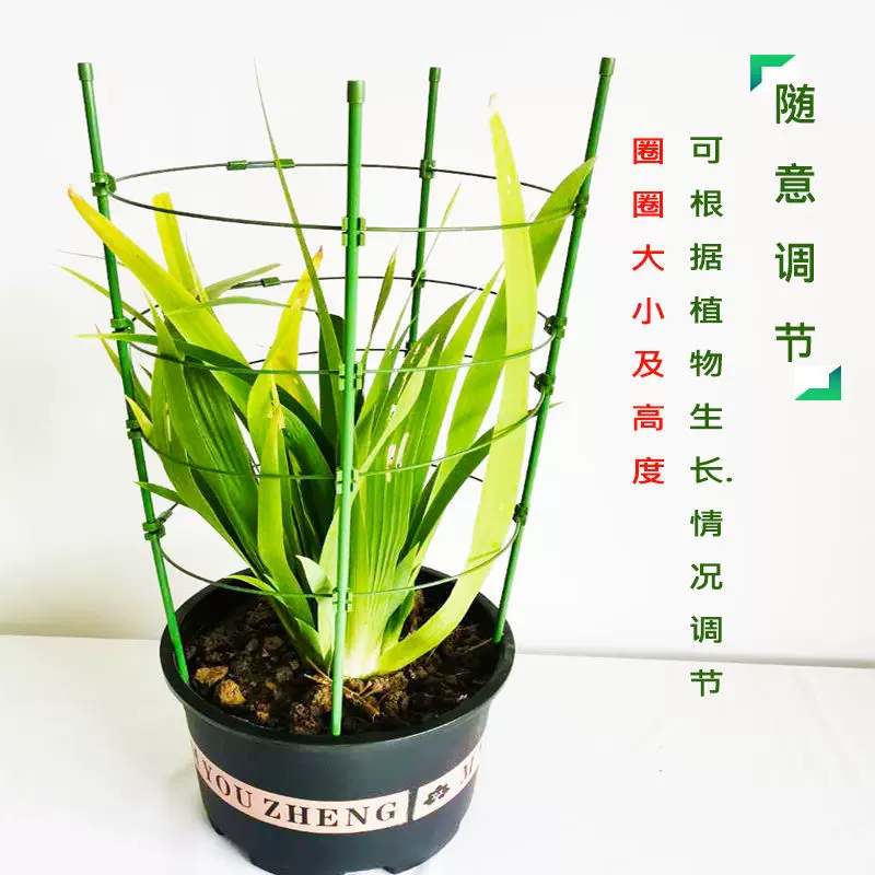阳台盆栽花架蟹爪兰多肉双层爬藤可伸缩防倒伏护
