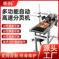 Coding Machine Conveyor Table for Positioning Food Packaging Bags, Production Date, Qr Code, Barcode, Assembly Line, Intelligent Laser Coding Machine, Adjustable Speed, Fully Automatic Paging Machine, Speed Controller, Assembly Line Conveyor Belt