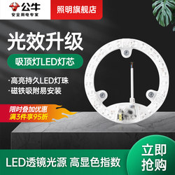 Bull Ceiling Light Led Lamp Core Replacement Module Magnetic Round Light Panel Kitchen Room Light Retrofit Home Light Board