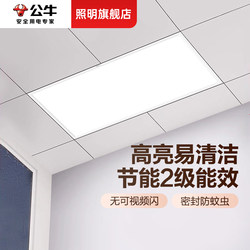 Bull 300X600 Integrated Ceiling Aluminum Panel Light 30X60 Bathroom Kitchen Led Flat Panel Lighting