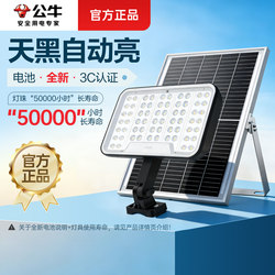 Bull Solar Outdoor Light 2026 New Model Sensor Waterproof Lighting Automatically Turns on When Dark Home Garden Light
