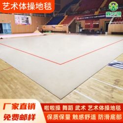 Rhythmic Gymnastics Carpet, Free Exercise Mat, Cheerleading, Aerobics, Martial Arts Routine, Dance Skills Mat, Stage Carpet