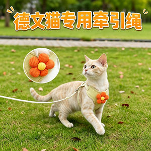 
Devon cat special kitten traction rope cat pet kitten anti-breakaway harness cat chest and back traction I-shaped