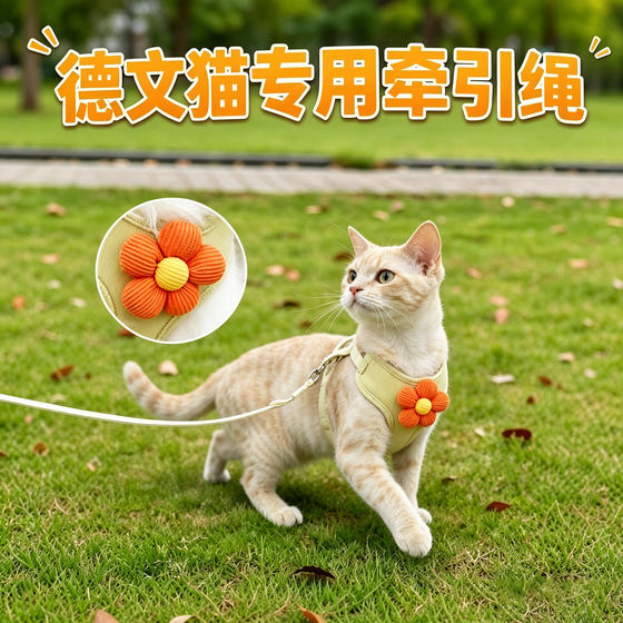 
Devon cat special kitten traction rope cat pet kitten anti-breakaway harness cat chest and back traction I-shaped
