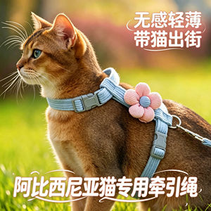 
Abyssinian special kitten traction rope cat pet kitten prevents breaking away when going out with cat rope