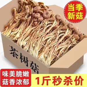 金针茶树菇- Top 50件金针茶树菇- 2024年3月更新- Taobao