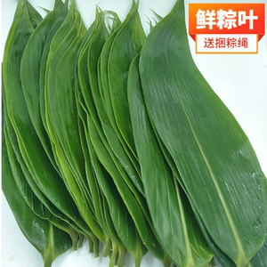
Zongzi leaves, fresh large zongzi leaves for wrapping zongzi, wild natural household vacuum bagged zongzi leaves, bamboo leaves wholesale