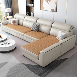 Winter and Summer Dual-Use Fabric Sofa for Living Room, 2026 New Model, Small Apartment, Simple Modern Tech Fabric, Internet-Famous Cooling Mat Style