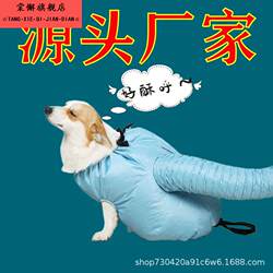 Pet dryer bag hair blowing artifact cat and dog large dog special bath quick-drying hair dryer automatic blow-drying box