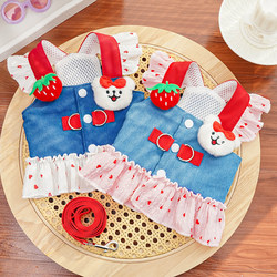 Pet Cat and Dog Clothes, Princess Dress, Thin Denim Cartoon Leash Dress, Small Dog Spring and Summer Clothing, New Product