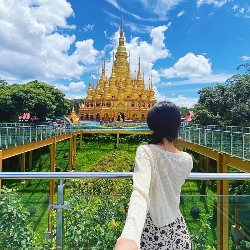 西双版纳旅游 野象谷原始森林公园勐泐大佛寺5天4晚