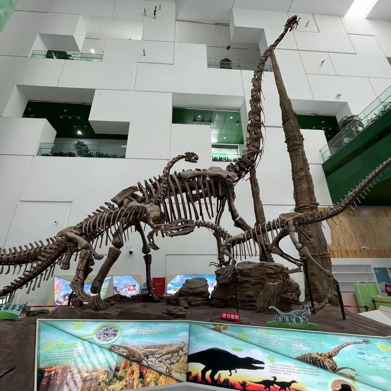 北京 中国科学技术馆/北京科技馆研学跟团深度游【含票】