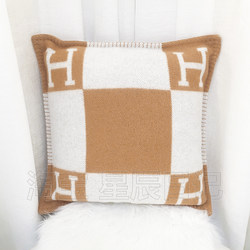 Light Luxury and High-End Classic H Letter Living Room Sofa Throw Pillow, Cushion Cover, Bay Window Pillow, Lumbar Pillow, Backrest Cushion