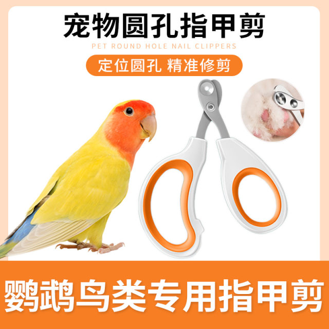 Parrot bird special nail scissor set nail clipper trimming nail clipper ...