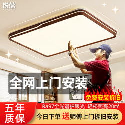 Includes Installation of a Living Room Ceiling Light in Antique Walnut Color, Main Light for the Hall, Modern Minimalist Bedroom Led Light