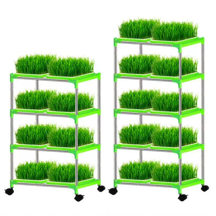 种植箱加厚地面盘架子栽培盘架托盘纸上种菜育苗