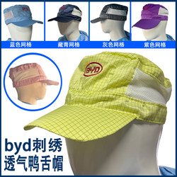 Anti-Static Hat Dust-Free Static Hat Logo Mesh Byd Employee Hat Byd Clean Workshop Work Hat