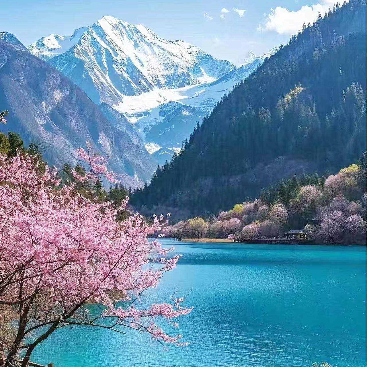 成都九寨沟黄龙三日游纯玩8人小团四姑娘山都江堰川西旅游跟团游