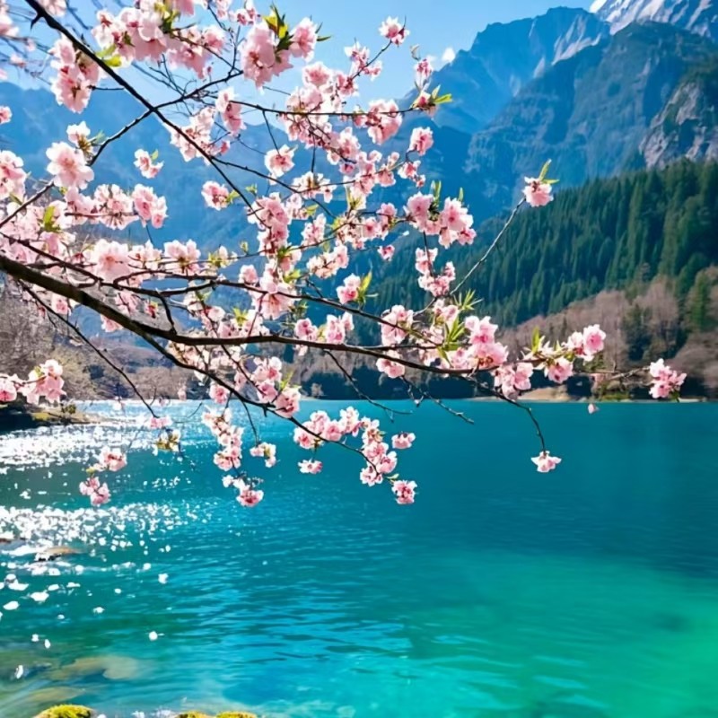 成都九寨沟黄龙三日游纯玩8人小团四姑娘山都江堰川西旅游跟团游