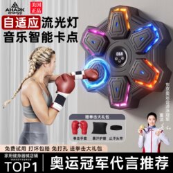 Smart Music Boxing Machine for Adults and Children, Home Fitness Music Wall Target for Boxing Practice, Martial Arts Training Equipment