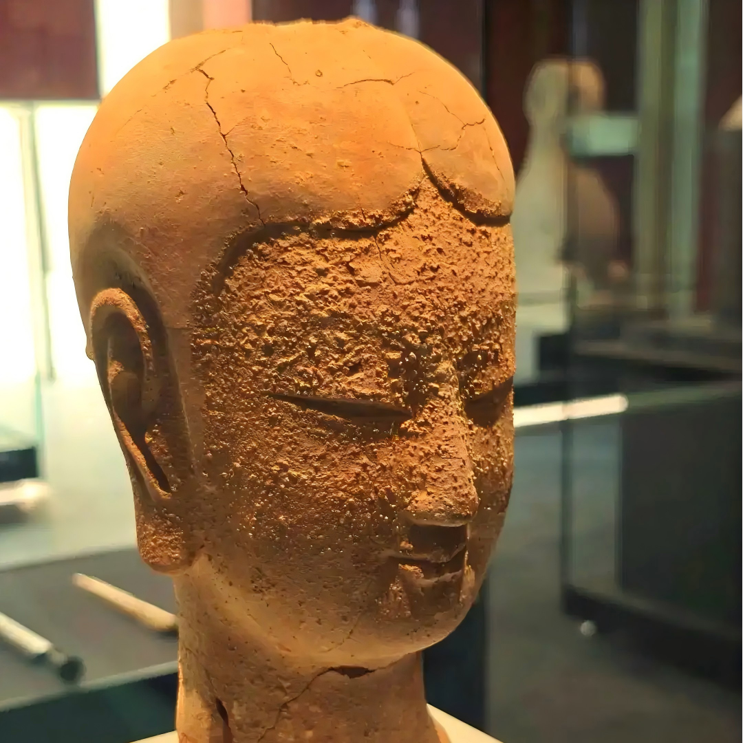 『免预约』汉魏故城遗址博物馆 | 人工讲解·配发无线耳麦