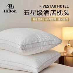 Atour Five-Star Hotel Same-Style Pillow, Cervical Spine Protection, Sleep Aid Pillow Core, Home Use, Pair Pack, Non-Collapsing, Non-Deforming Pillow