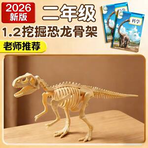 The teacher recommends archaeological dinosaur fossil toys puzzle hand-assembled simulated Tyrannosaurus rex skeleton model ornaments 3+