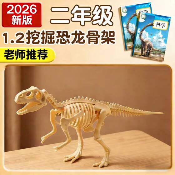 The teacher recommends archaeological dinosaur fossil toys puzzle hand-assembled simulated Tyrannosaurus rex skeleton model ornaments 3+