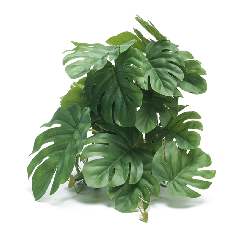 仿真植物爬宠饲养箱造景绿植陆龟蜥蜴变色龙守宫