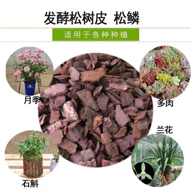发酵松树皮松鳞兰花铁皮石斛用植料多肉种植营养土树皮-淘宝网