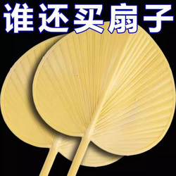 Plastic Hand-Held Thickened and Enlarged Summer Fan for Home Use, Durable and Anti-Breakage, Traditional Large Banana Leaf Fan