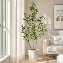 Artificial Green Plant Horsewood for Indoor Living Room Sofa Side, High-End Light Luxury Decorative Ornament, Potted Plant, Advanced Imitation Plant