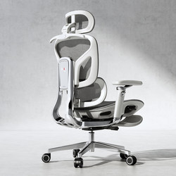Saigu Ares L8 Ergonomic Chair Computer Chair Office Seat Comfortable for Long Sitting Home Lumbar Support Chair