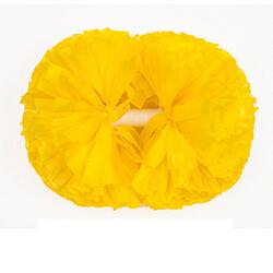 Cheerleading, Square Dancing, Gymnastics, Aerobics, Large-Scale Sports Performances, Hand-Held Flowers