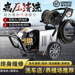 Black Cat Ultra-High Pressure Washer 220V Car Washing Machine Commercial High-Power Farm 380V Industrial Car Washing Device